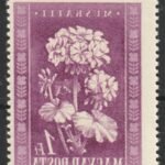 T1 Teszt tétel címe